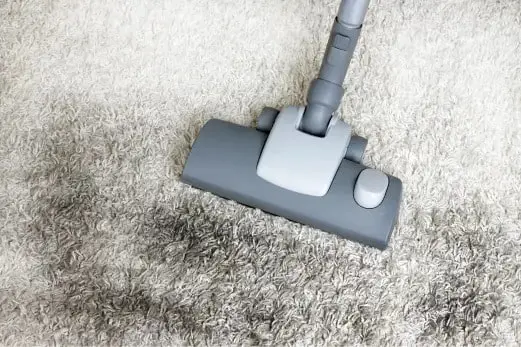 Carpet Cleaning in Bentleigh